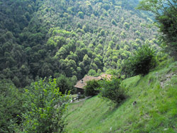 Via San Benedetto (520 m) - Tremezzina | Rundwanderung von Lenno ins Perlana-Tal
