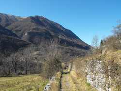 Via alla Santa (450 m) - Grandola ed Uniti | Wanderung von Menaggio zur Rogolone-Eiche
