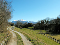 Via Gottro (465 m) - Velzo | Wanderung von Menaggio zur Rogolone-Eiche