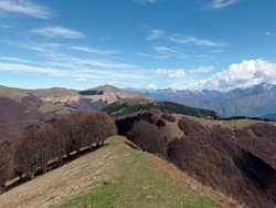 Costone di Pigra (1430 m) | Wanderung von Pigra zum Monte Costone