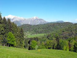 Panorama (810 m) Weg Nr. 1A | Von Bellagio zum Monte Nuvolone