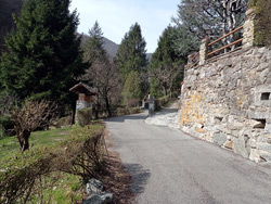 Foro Francescano (550 m) - Caslino d'Erba | Wanderung zu den Rezzago-Erdpilzen
