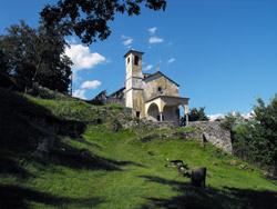 Kirche Sant'Eufemia (370 m) - Dongo | Rundweg von Dongo zum das Sasso di Musso