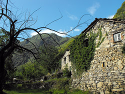 Giumanell (327 m) - Brienno | Wanderung von Brienno zum Monte Comana