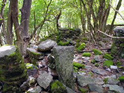 Ruinen von Pra de la Curt (985 m) - Brienno | Wanderung von Brienno zum Monte Comana