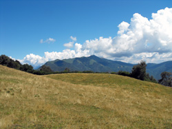 Pian d'Erba (1150 m) - Brienno | Wanderung von Brienno zum Monte Comana