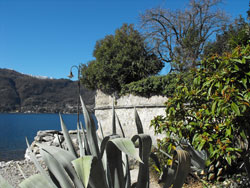 Burg Lierna - Comer See