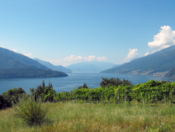 Pozzolo (340 m) - Domaso | Wanderung von Gravedona nach Gera Lario