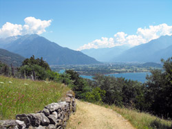 Trezzone (390 m) | Wanderung von Gravedona nach Gera Lario