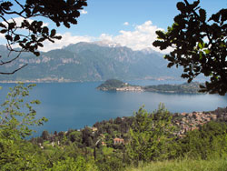 Griante und Cadenabbia - Comer See