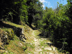 Weg zur Abtei (515 m) - Tremezzina | Rundwanderung von Lenno ins Perlana-Tal