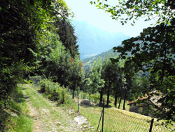 Via San Benedetto (730 m) - Tremezzina | Rundwanderung von Lenno ins Perlana-Tal