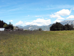 Chevrio (575 m) - Bellagio | Von Limonta zum Belvedere di Makallé