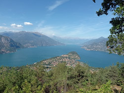 Belvedere di Makallé (635 m) - Bellagio | Von Limonta zum Belvedere di Makallé