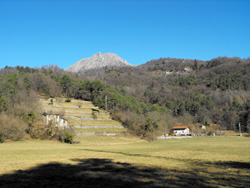 Piamuro (370 m) - Menaggio | Wanderung von Menaggio zur Rogolone-Eiche