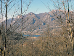 Lago di Piano - Val Menaggio (450 m) | Wanderung von Menaggio zur Rogolone-Eiche