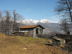 Pfad Nr. 7 (352 m) - Olgiasca | Rundweg auf der Piona-Halbinsel