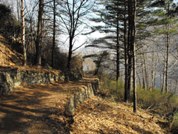 Pfad Nr. 7 (220 m) - Olgiasca | Rundweg auf der Piona-Halbinsel