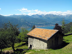 Monte Alto (755 m) - Cangiago | Rundwanderung von Dervio zur Camaggiore-Alm