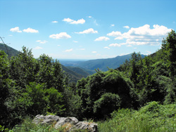 Weg Nr. 1 (950 m) | Von Gajum zum zentralen Gipfel des Canzo