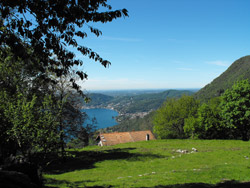 Monte di Liscione (730 m) - Moltrasio | Rundweg von Moltrasio zur Bugone-Hütte