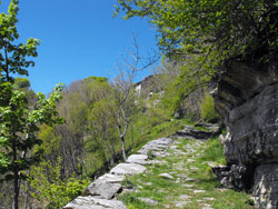 Bugone-Hütte (1110 m) - Moltrasio | Rundweg von Moltrasio zur Bugone-Hütte