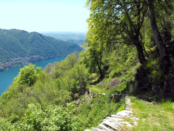 Via ai Monti di Lenno (1085 m) - Moltrasio | Rundweg von Moltrasio zur Bugone-Hütte
