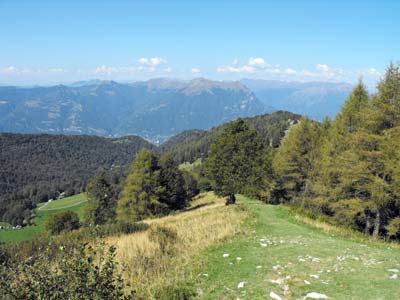 Steigen für Terrabiotta (1.350 m) | Wanderung Monte San Primo