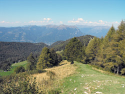 Steigen für Terrabiotta (1350 m) | Rundwanderung auf dem Monte San Primo