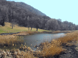 Crezzo-See (800 m) - Lasnigo | Rundweg von Onno (195 m) zum Monte Megna (1049 m)