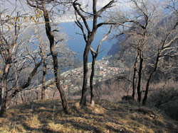 Weg Nr. 1 (545 m) - Via Darniga | Rundweg von Onno (195 m) zum Monte Megna (1049 m)