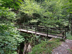 Brücke über das Vallone del Poncio (315 m) | Von Sorico zum San Fedelino Tempel