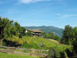 Vignasca (360 m) - Mandello del Lario | Von Olcio nach Zucco Sileggio