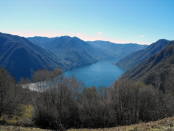 Weg Nr. 8 (1040 m) - Pigra | Wanderung von Pigra zum Monte Costone