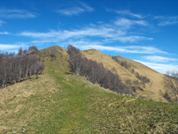 Bocchetta di Pigra (1325 m) | Wanderung von Pigra zum Monte Costone