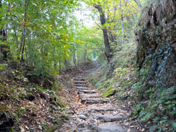 Spina Verde-Park (Weg 1) (410 m) | Rundweg im Spina Verde-Park