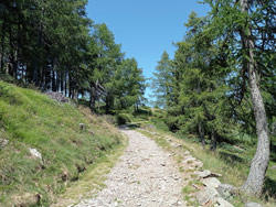 Militärweg des Monte Legnoncino (1570 m) | Von Sueglio zum Monte Legnoncino