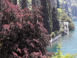 Villa Monastero - Varenna