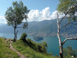 Aussichtspunkt des Monte Nuvolone (1050 m) | Von Bellagio zum Monte Nuvolone