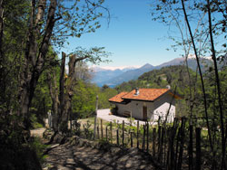 Rovenza - Brogno (645 m) Pfad Nr. 1 | Von Bellagio zum Monte Nuvolone