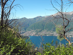 Brogno - Vergonese (365 m) Pfad Nr. 5 | Von Bellagio zum Monte Nuvolone