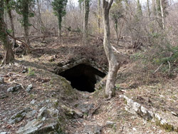 Boldrino-Höhle (750 m) - Caslino d'Erba | Wanderung zu den Rezzago-Erdpilzen