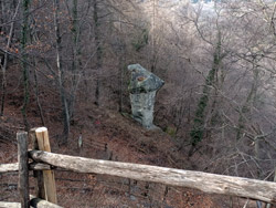 Pilz Nr. 1 (730 m) - Rezzago | Wanderung zu den Rezzago-Erdpilzen