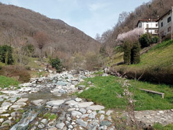 Parco degli Alpini (430 m) - Caslino d'Erba | Wanderung zu den Rezzago-Erdpilzen