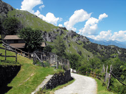 Pastoralstraße (Croda - Monti di Labbio) | Rundweg von Dongo zum das Sasso di Musso