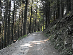 Grat-Wanderung im Lariano-Dreieck | Via alle Colme (1020 m.)