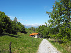 Grat-Wanderung im Lariano-Dreieck | Alpe delle Ville - Bellagio