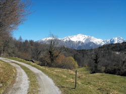 Grat-Wanderung im Lariano-Dreieck | Rovenza (725 m.)