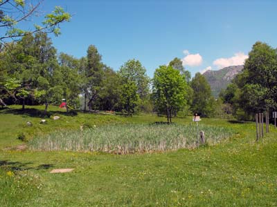 Sentiero del Viandante - 2. Etappe (Obere Variante) | Pozzal-Teich (955 m) - Esino Lario